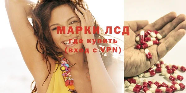 прущие грибы Бугульма
