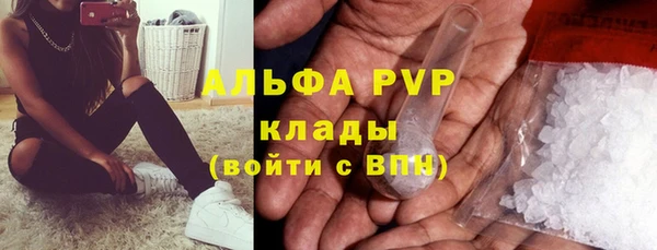 марки lsd Бородино