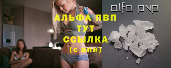 прущие грибы Бугульма