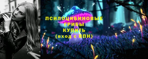 МДМА Богородск