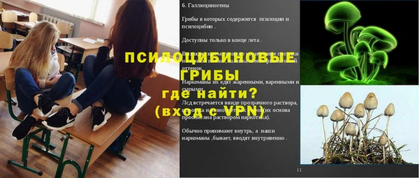 прущие грибы Бугульма