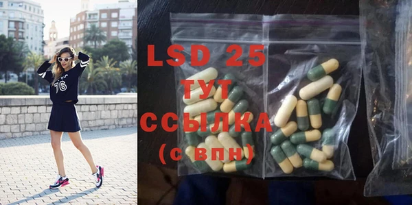 прущие грибы Бугульма